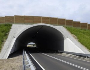 tunel na drodze