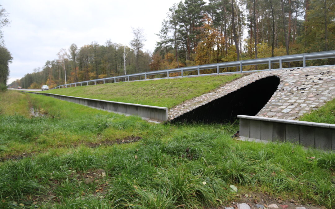 System ogrodzeń ochronno- naprowadzających optemFROG